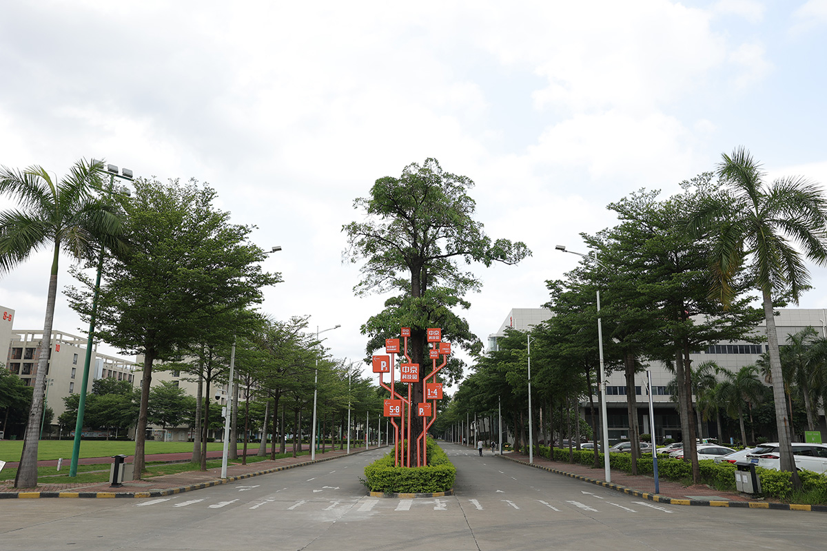 1694428364853772.jpg 03.jpg